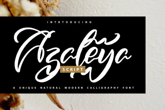 Azaleya: A Natural Script Font for Editorial Design