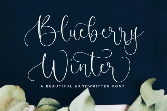 Blueberry Winter Font for Elegant Small Business Branding