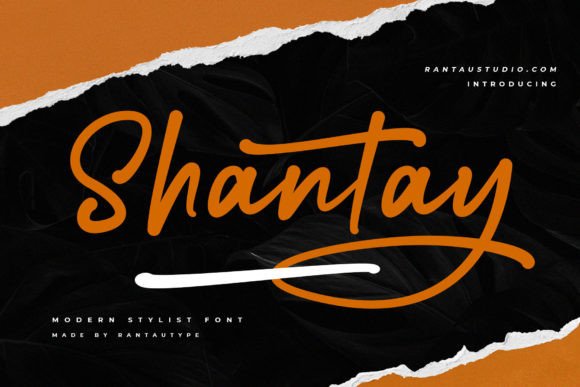 Shantay Font Review: Bold Script for Modern Branding