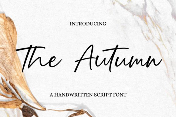 The Autumn: A Graceful Script Font for Editorial Design